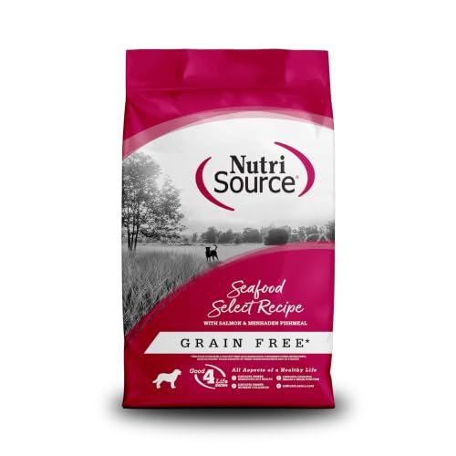 Dog Food Grain Free vs Grain