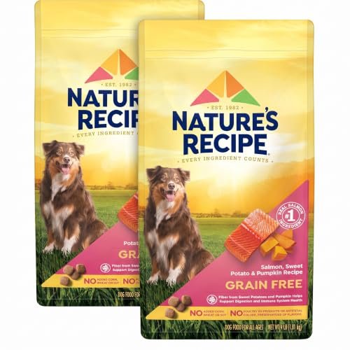 Grain Free vs Grain Dog Food