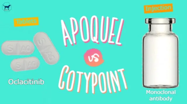 Apoquel versus Cytopoint comparison