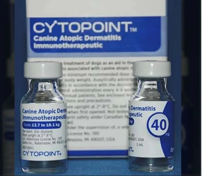 Apoquel vs Cytopoint