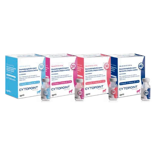 Apoquel vs. Cytopoint vs. Antihistamines vs. Steroids