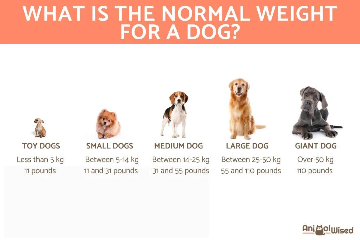Benadryl dosage chart by dog weight
