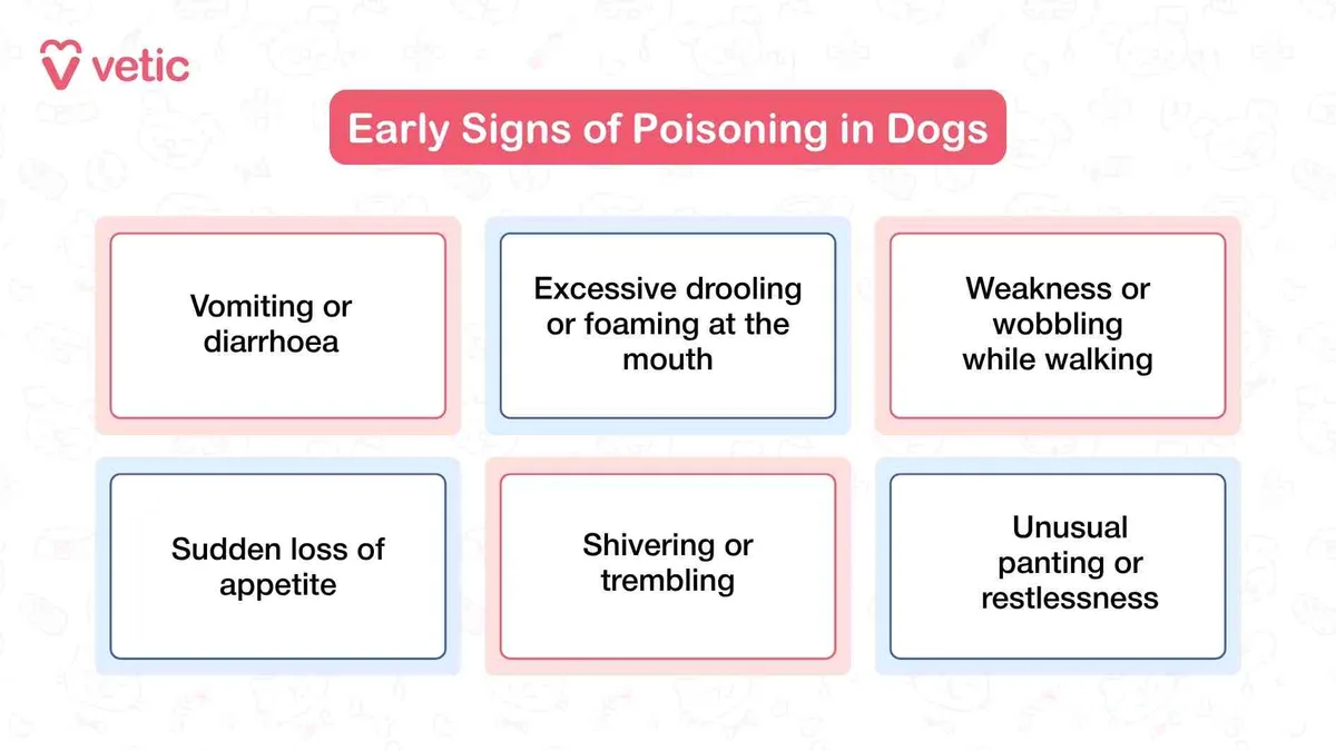 Benadryl overdose signs in dogs