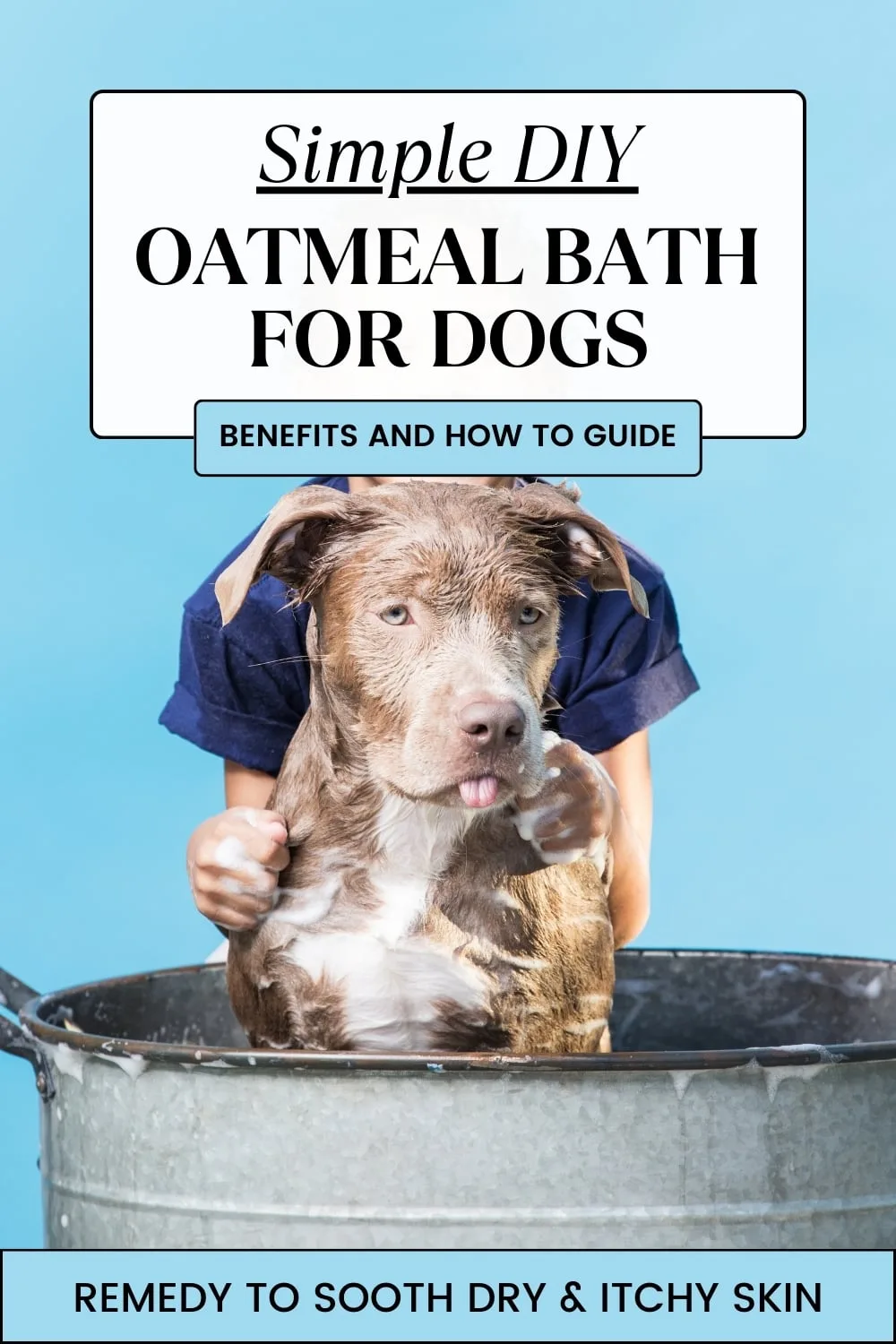 colloidal oatmeal dog bath allergy relief