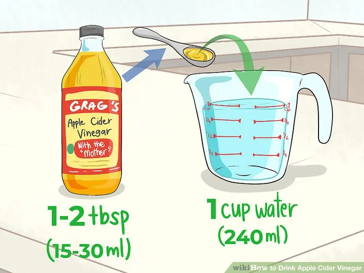 dilution ratios for apple cider vinegar on dogs