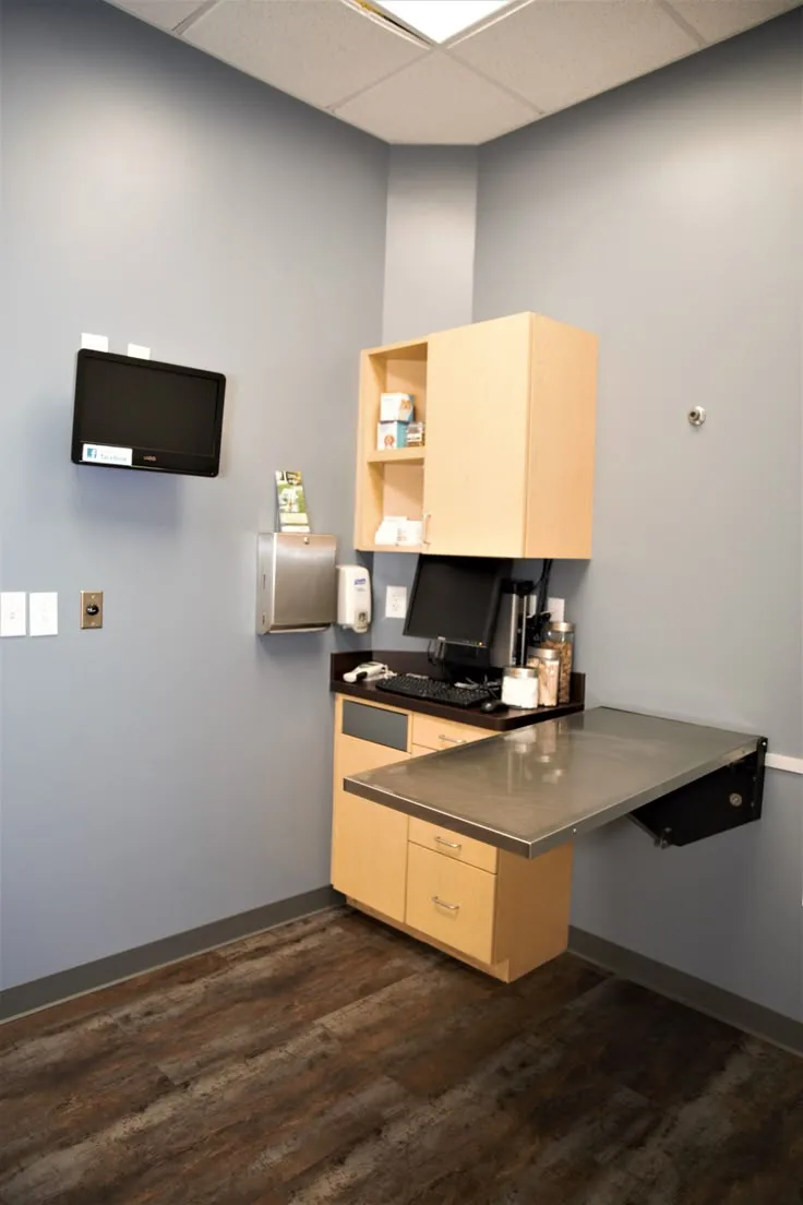 dog allergy test cost breakdown 2025