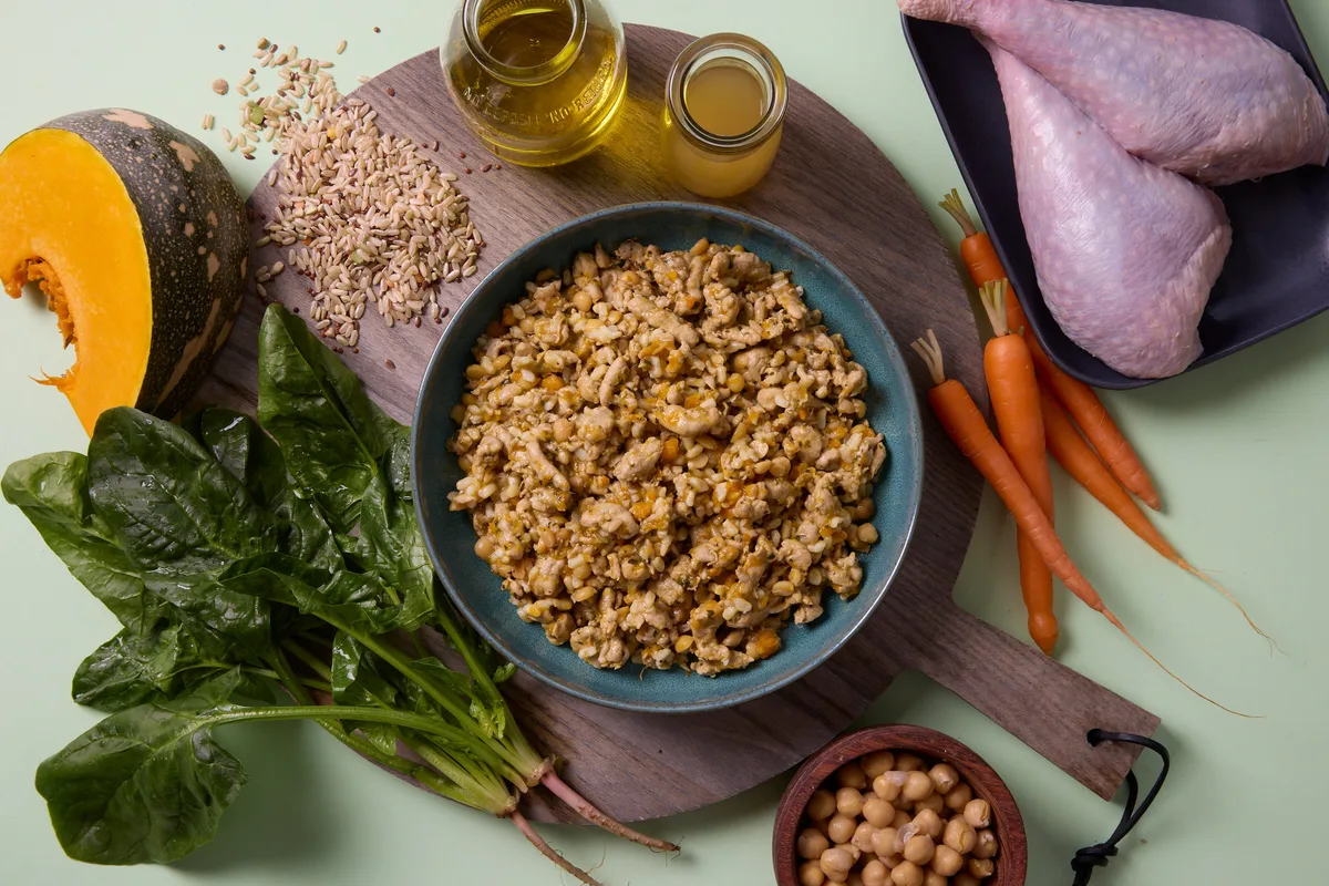 dog elimination diet protocol