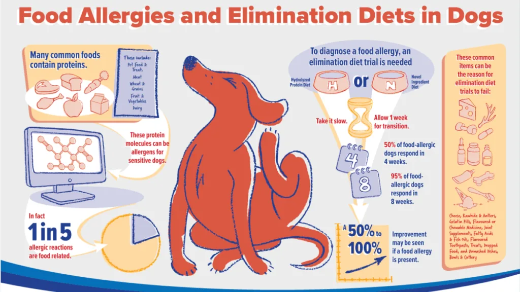 elimination diet for dogs