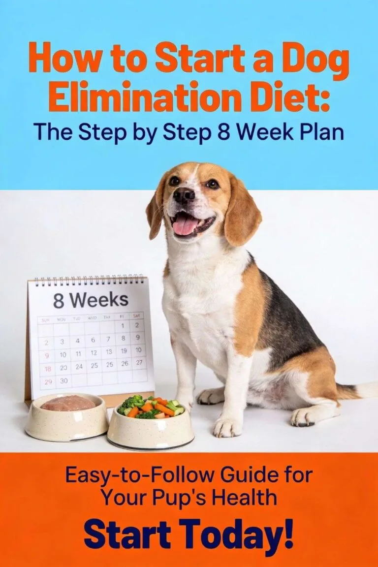elimination diet timeline for dogs