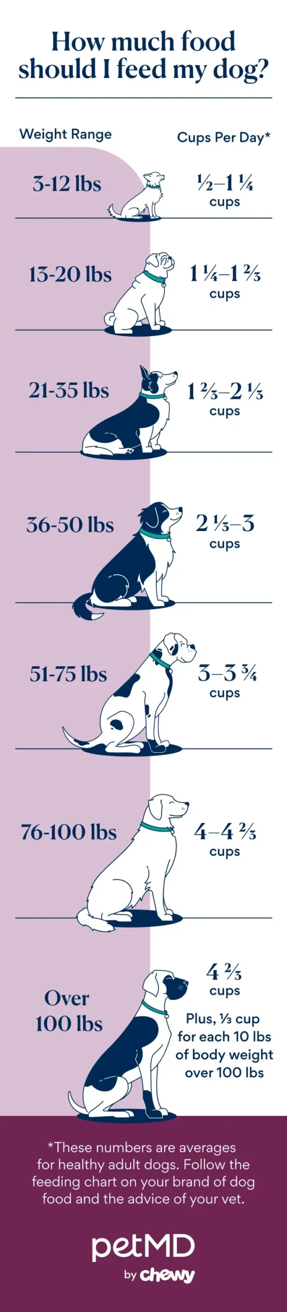 elimination diet trial for dogs