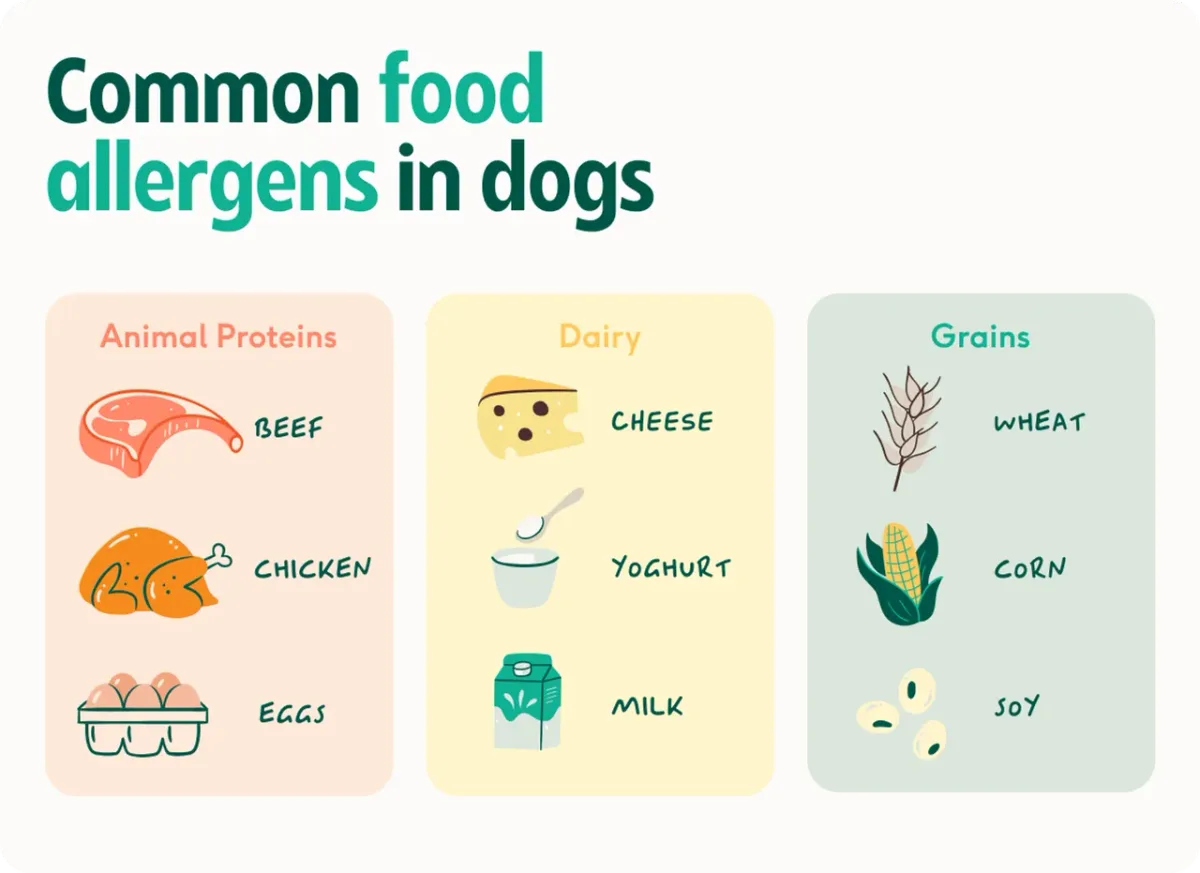flea food environmental dog allergy types