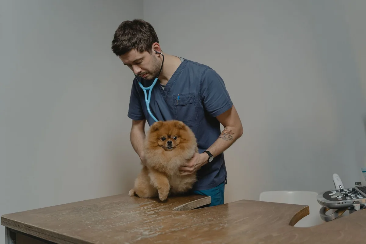 how much benadryl can i give my dog for allergies
