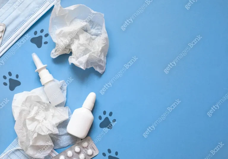 how much is allergy medicine for dogs