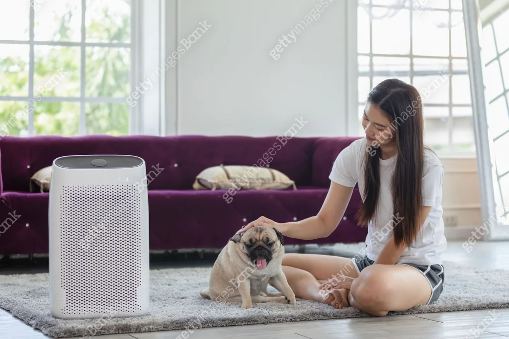 how to get rid of dog allergies naturally
