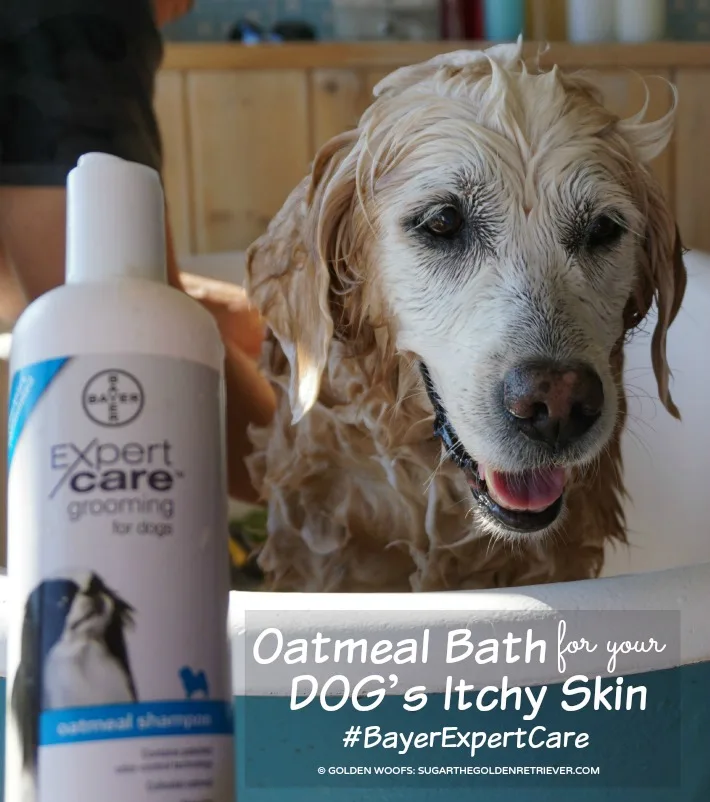 how to treat dog skin allergies naturally