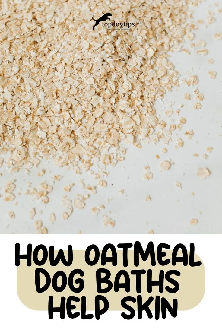 oatmeal bath for dogs