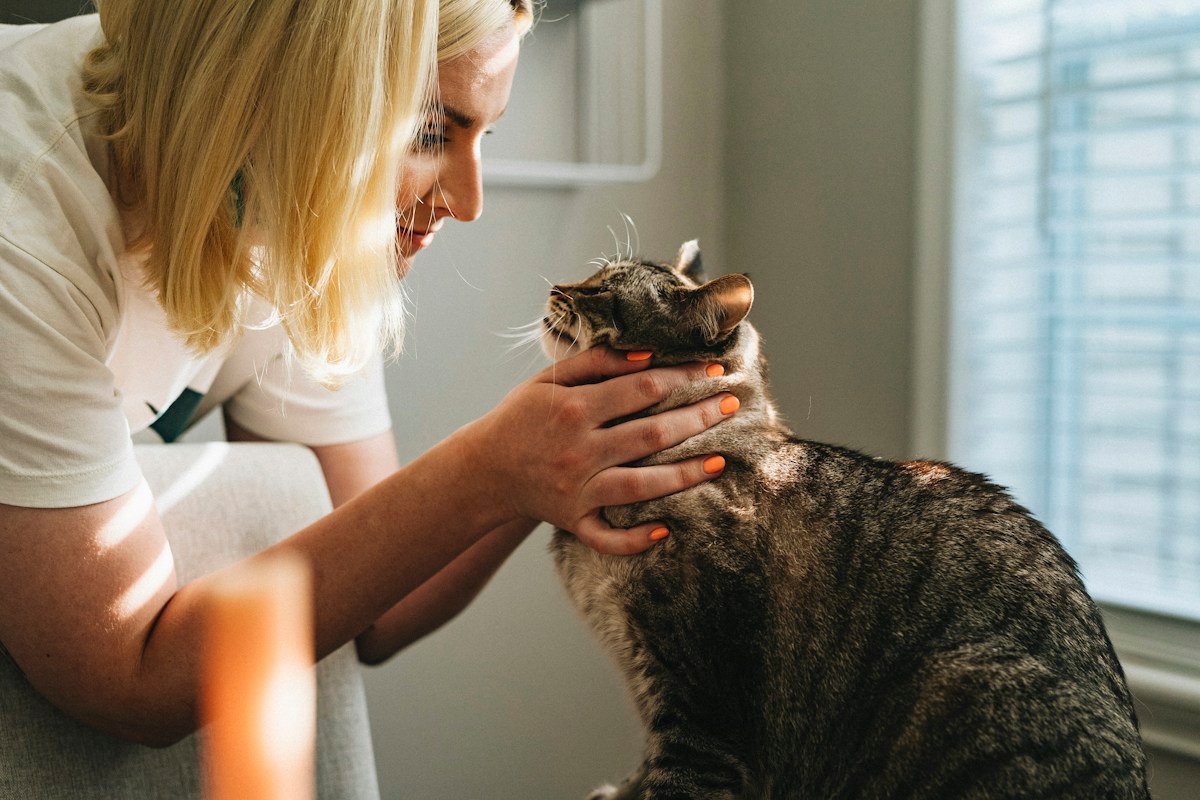Veterinary and pet gear testing specialist - PetVerdictLab