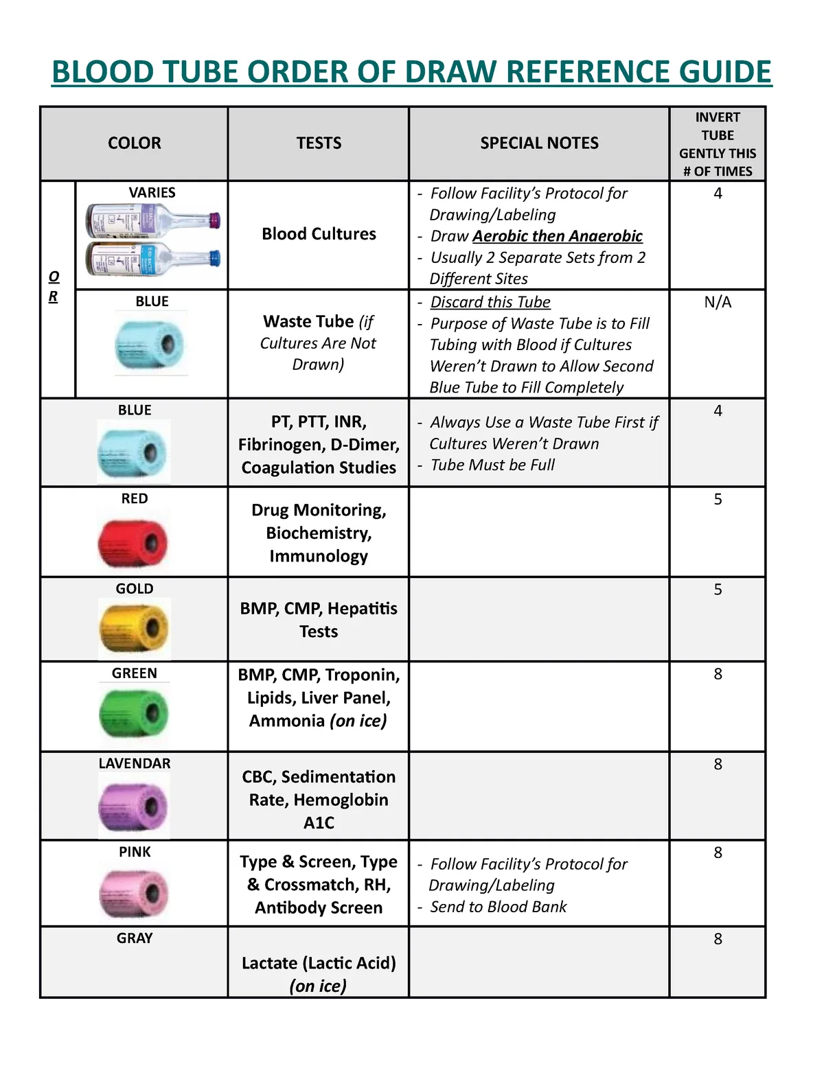 serum IgE blood allergy test for dogs