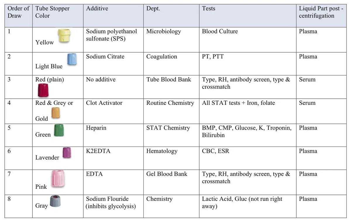 serum IgE blood test for dog allergies