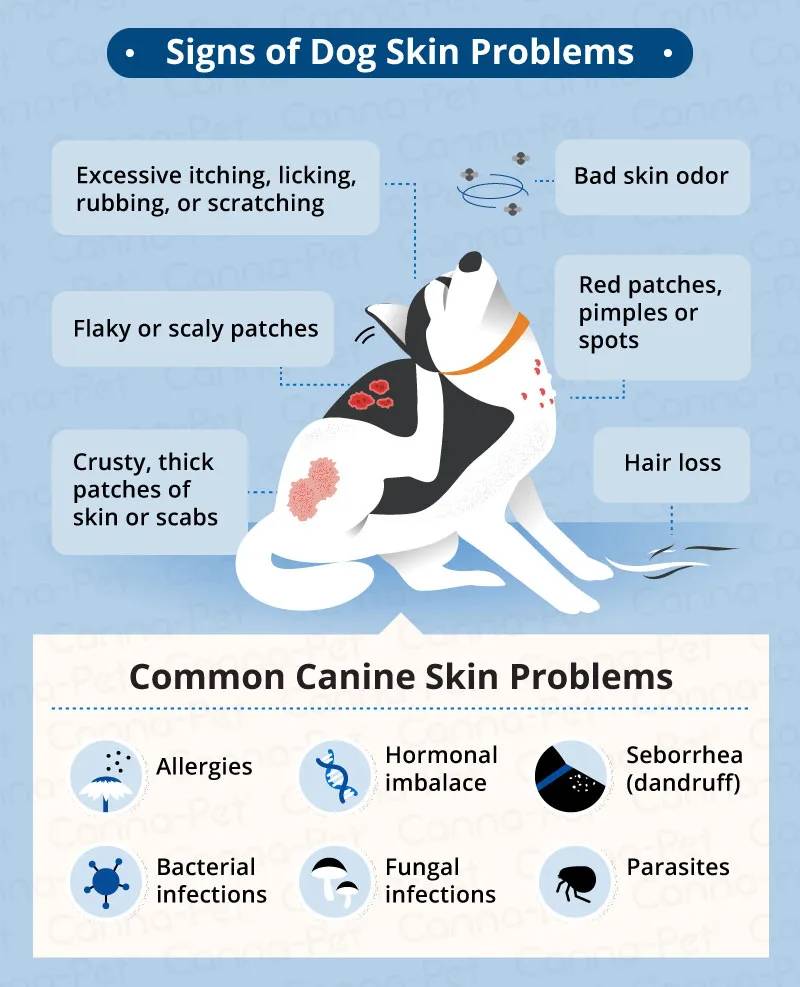 types of dog skin allergies