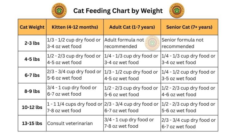 How Much Wet And Dry Food Should A Cat Eat Per Day