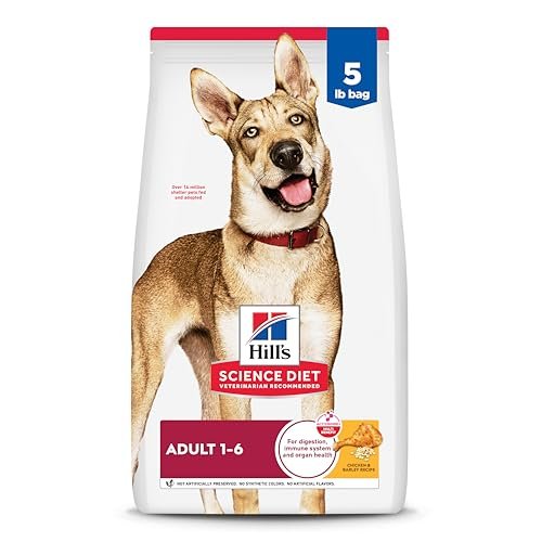 Adult vs Senior Dog Food