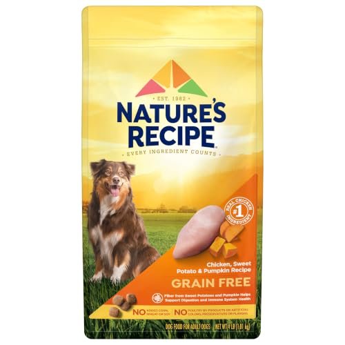 Grain Free Dog Food vs Whole Grain
