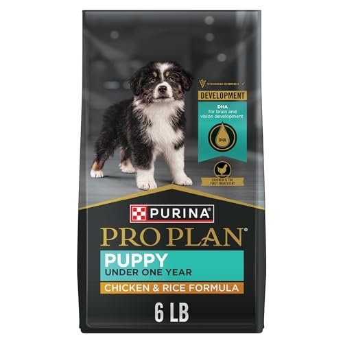 Puppy Food vs Adult Dog Food