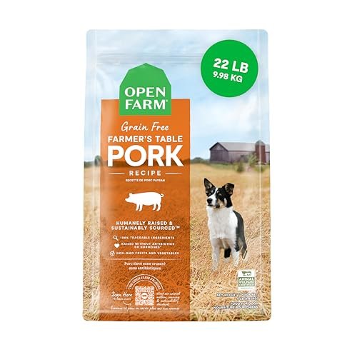 Grain Free Dog Food vs Grain Dog Food