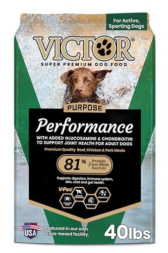 Large Breed Dog Food vs Regular