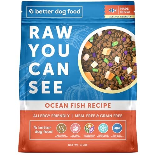 Grain vs Grain Free Dog Food