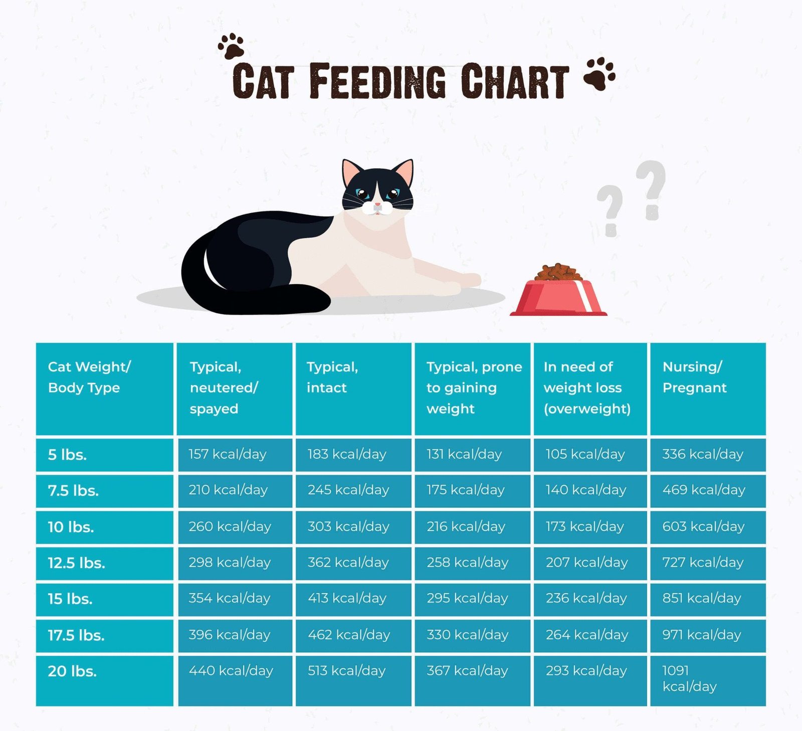 How Much Cat Food Per Day